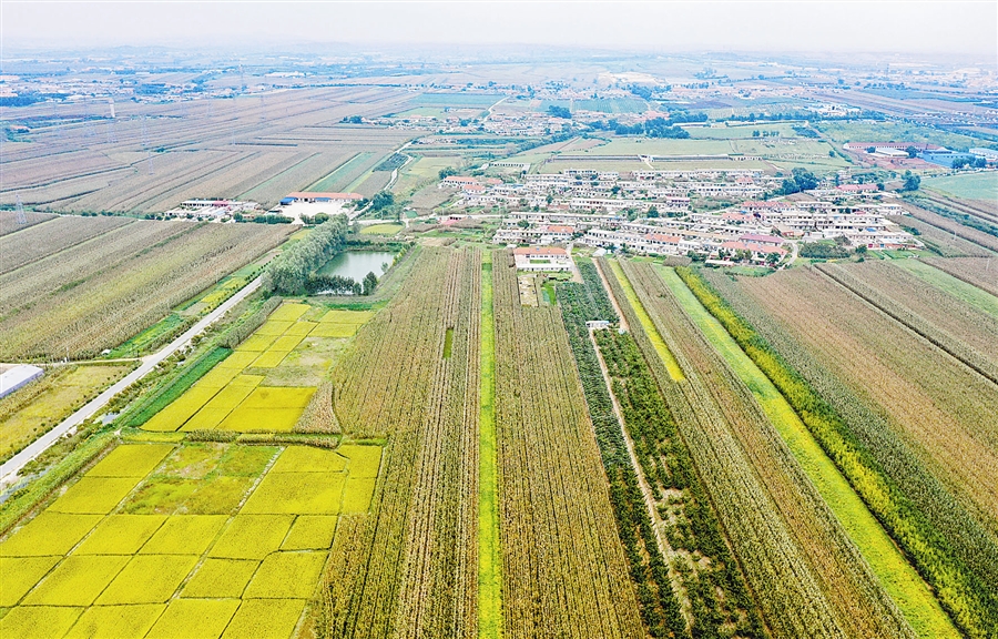 大连:丰收是大地的“信条”