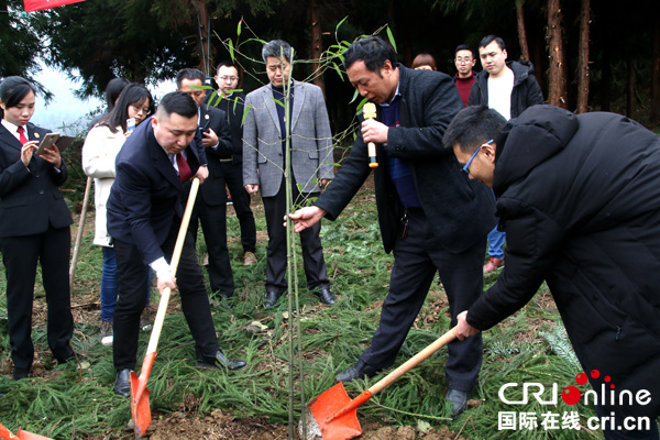 图片默认标题_fororder_兴文县林业局技术人员指导栽种技巧--（摄影-高学兵）