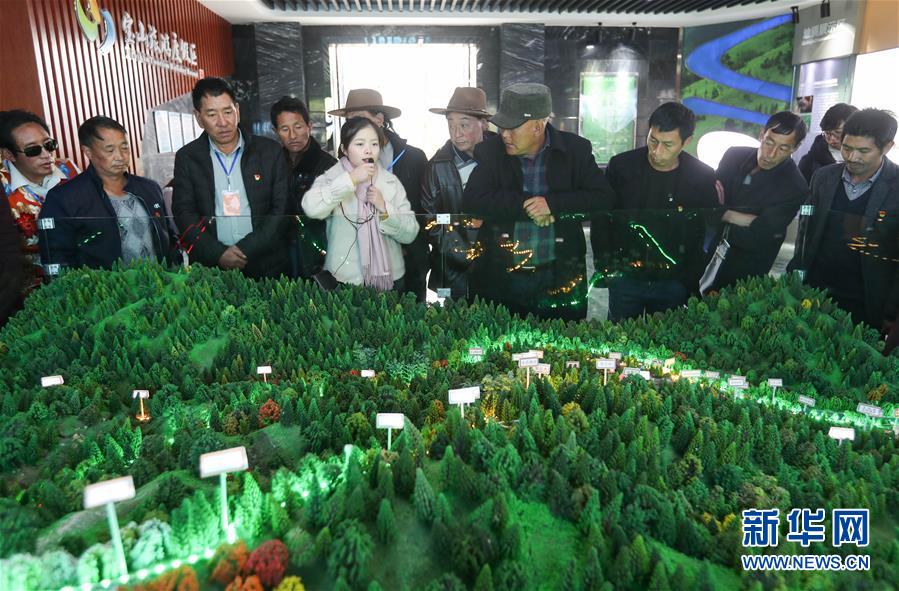 宝山村的三次“探宝” 宝山村的三次“探宝”