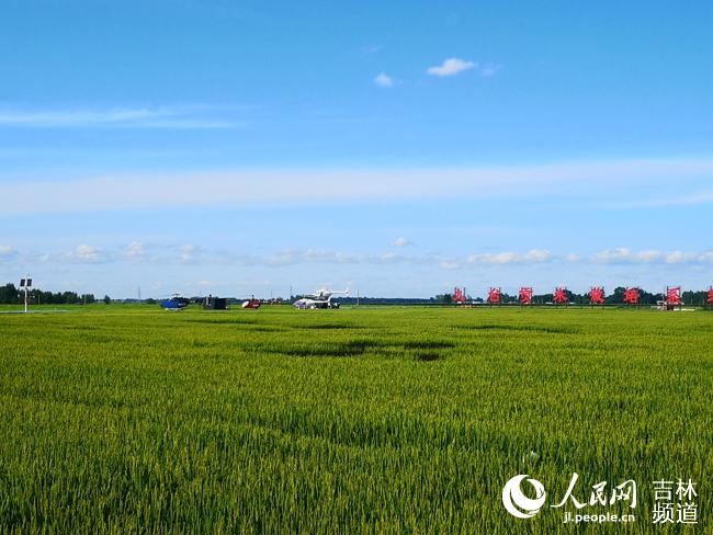 Desa Hongguang Changchun sebagai Desa Padi Tempuh Jalan Baru Pertanian Modern_fororder___172.100.100.3_temp_9500049_1_9500049_1_1_aad8b782-eee7-403a-875d-694b0db48049