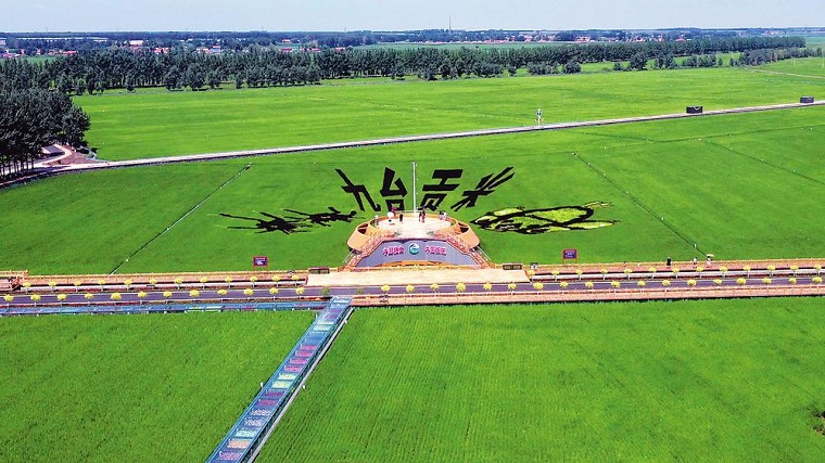 Desa Hongguang Changchun sebagai Desa Padi Tempuh Jalan Baru Pertanian Modern_fororder___172.100.100.3_temp_9500049_1_9500049_1_1_2f6e517c-619a-405d-a3bb-6245406801a8