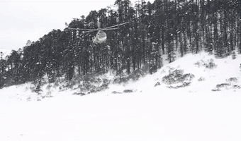 「中新网」新春走基层丨请收下这份特殊的空降年货...