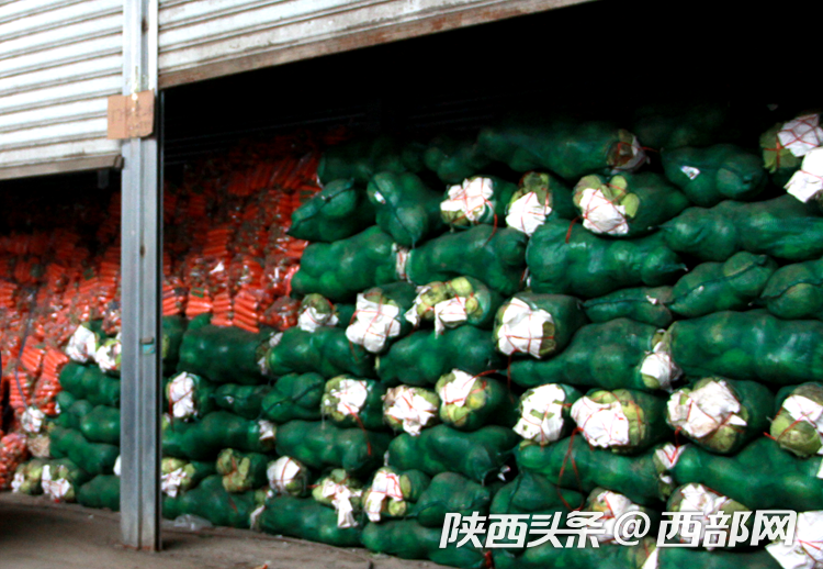 陕西省农业产业化龙头企业品牌宣传提升活动走进西部欣桥农产品物流中心