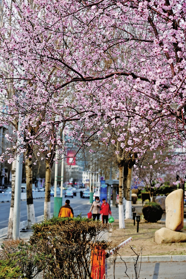 塑文明新风 铸城市之魂——延吉市创建全国文明城市纪实