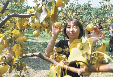 北京：60余场活动欢庆丰收喜迎小康