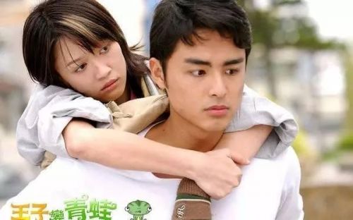 2008年,主演的都市剧《命中注定我爱你》创下台湾电视史上偶像剧