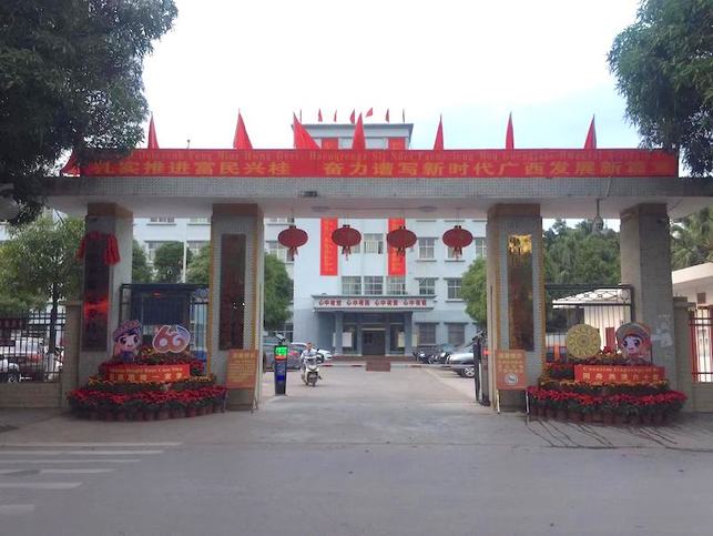 防城港市上思县张灯结彩喜迎广西壮族自治区成立60周年庆祝活动 防城港市上思县张灯结彩喜迎广西壮族自治区成立60周年庆祝活动
