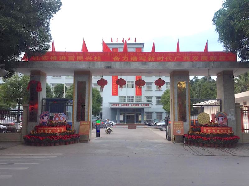防城港市上思县张灯结彩喜迎广西壮族自治区成立60周年庆祝活动 防城港市上思县张灯结彩喜迎广西壮族自治区成立60周年庆祝活动