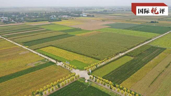 【CRI時評】今年の豊作が中国の食糧安全保障の確かさを証明_fororder_8d1526eb30c8606dcf2c7f6852afc2f