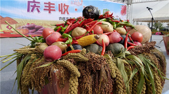 （有修改） 安塞區舉辦農民慶豐收 消費促脫貧啟動儀式