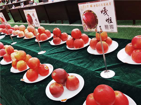 第三届中国（千阳）好苹果大赛总决赛暨陕西水果网络特色季·苹果丰收节在宝鸡千阳举行