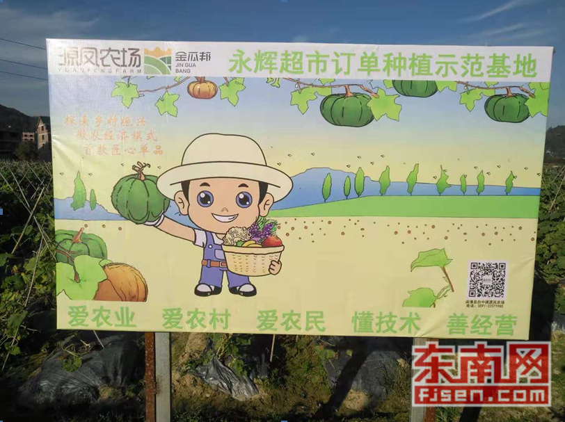 小南瓜大世界 小南瓜大世界