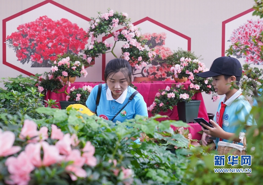 福建漳平：花木产业助农增收