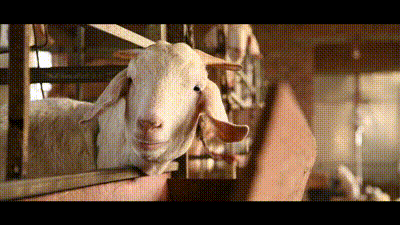 [新华社]这些人的年味，有何不一样？