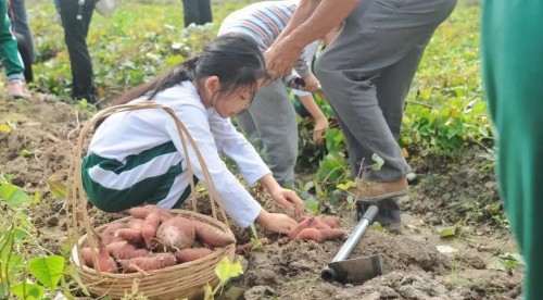 骑马、喂鸡、磨豆浆，广州增城还有这样的亲子游