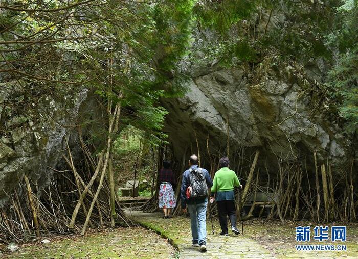 절강 臨安, 대자연이 선물한 청산녹수 절강 臨安, 대자연이 선물한 청산녹수_fororder_1