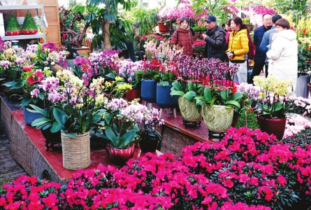 山西省城花卉市场年味浓