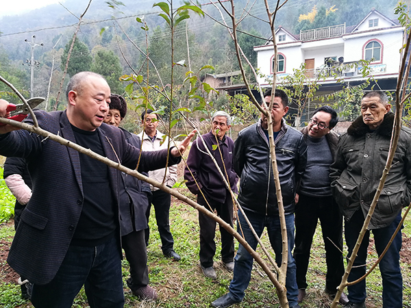 图片默认标题_fororder_5讲解栽种技术