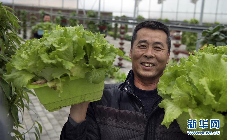 陕西华州：发展特色农业促增收