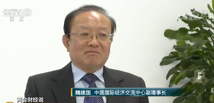 【两会经济视野】 魏建国:消费下乡+智能化商品 国内消费潜力巨大