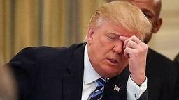 这就叫众怒！3500多家美国公司扎堆起诉特朗普政府对华加征关税非法