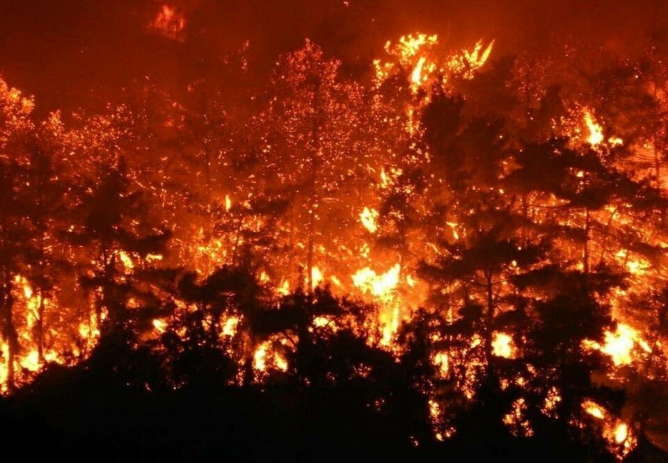 土耳其哈塔伊森林大火持续 火势仍未得到控制 起火原因仍在调查中