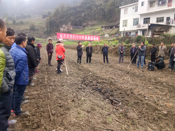 图片默认标题_fororder_栽桑现场会