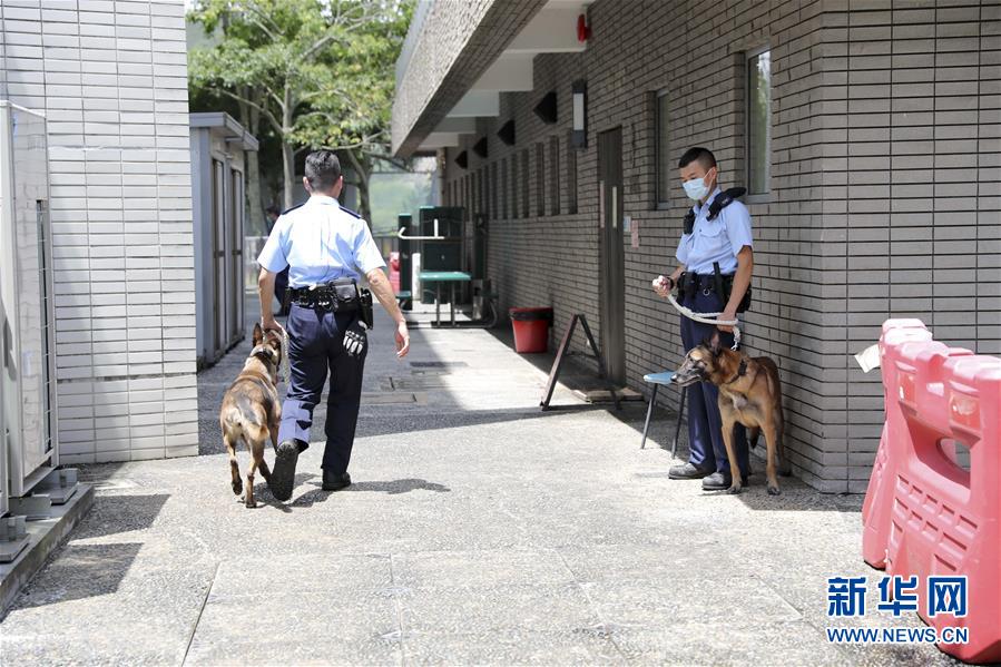香港警犬队领犬员和他的“家人”