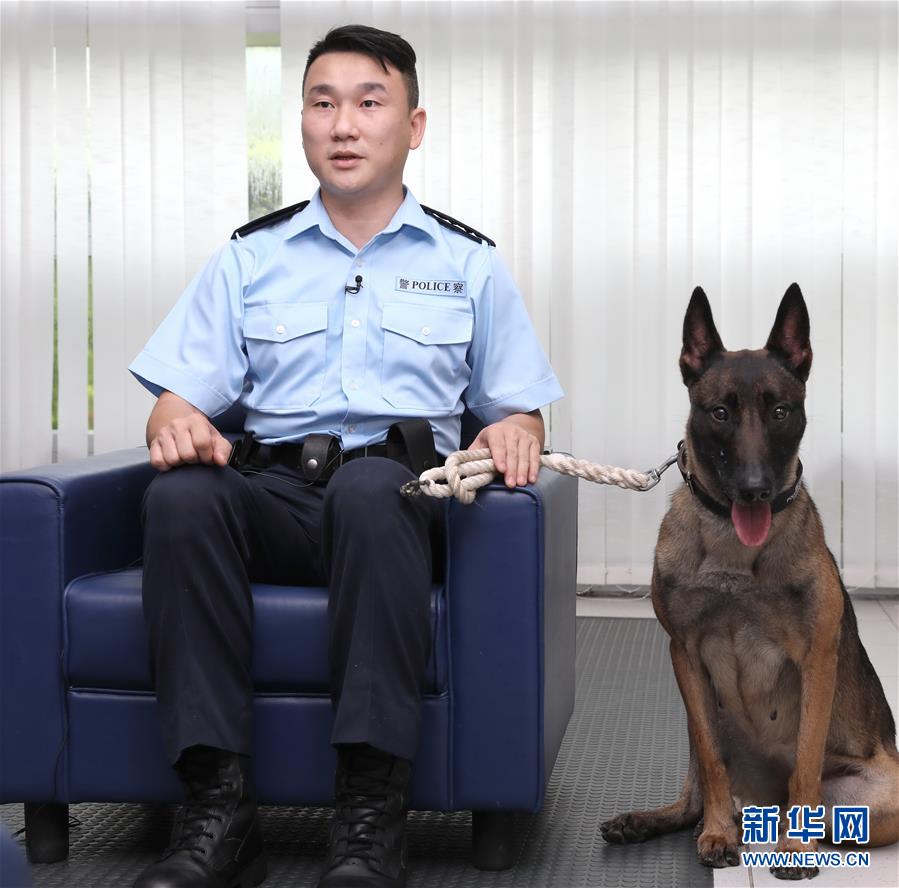 香港警犬队领犬员和他的“家人”