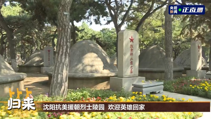117位在韩志愿军烈士遗骸归国 迎回仪式上这些细节令人动容