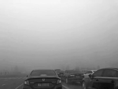 【汽车-图片】当“雾”之急如何做到安全驾驶