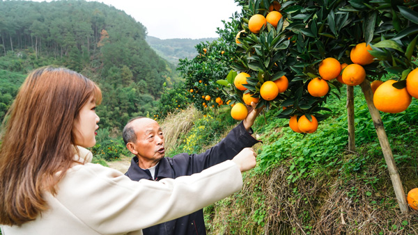 图片默认标题_fororder_杜开源热心的给顾客介绍脐橙（摄影：沈仁平）