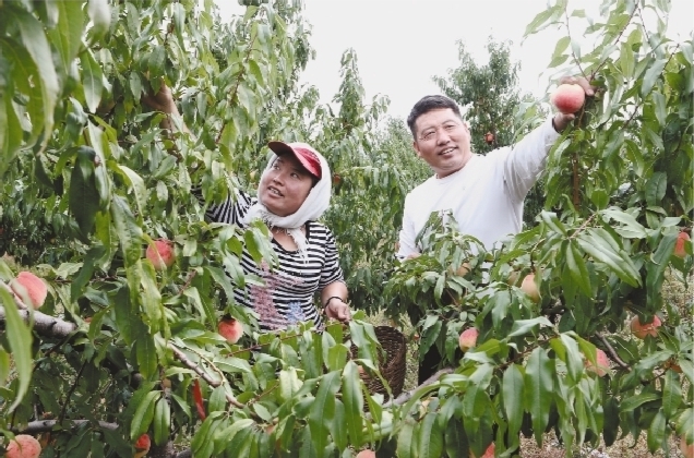 辽宁朝阳：扶贫果园托起小康梦_fororder_果园