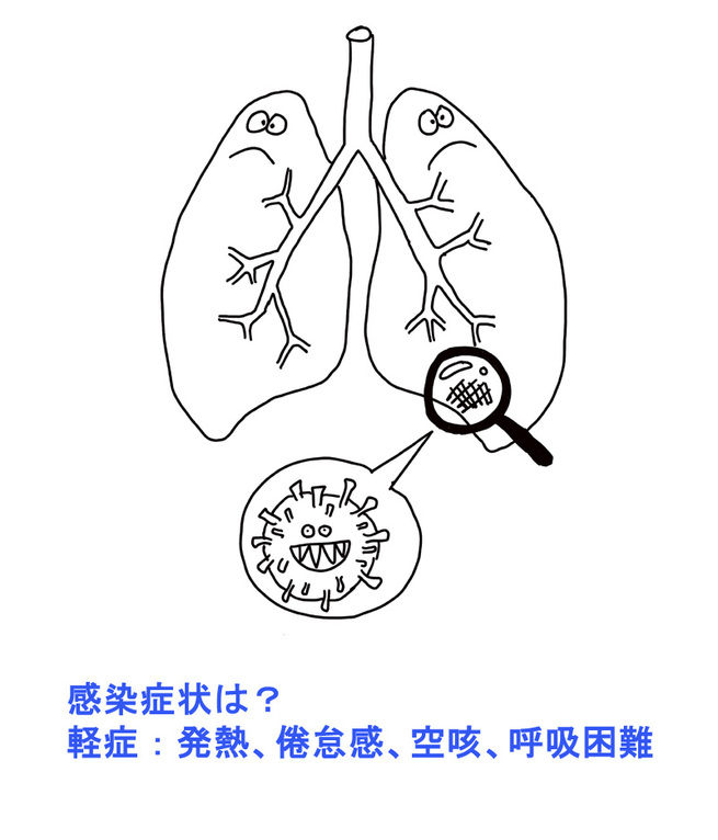 图片默认标题_fororder_yufang1
