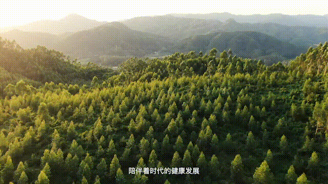 中国平安2020官方宣传片，重磅来袭！_fororder_想7