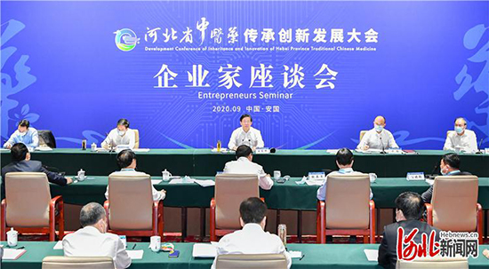 王东峰出席河北省中医药传承创新发展大会企业家座谈会并讲话_fororder_2
