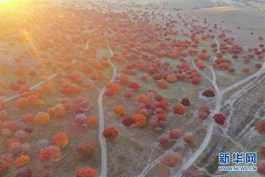 Tiongkok yang Memasuki Musim Gugur_fororder_musim12