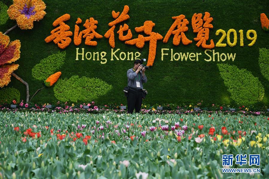 2019年香港花卉展览即将揭幕
