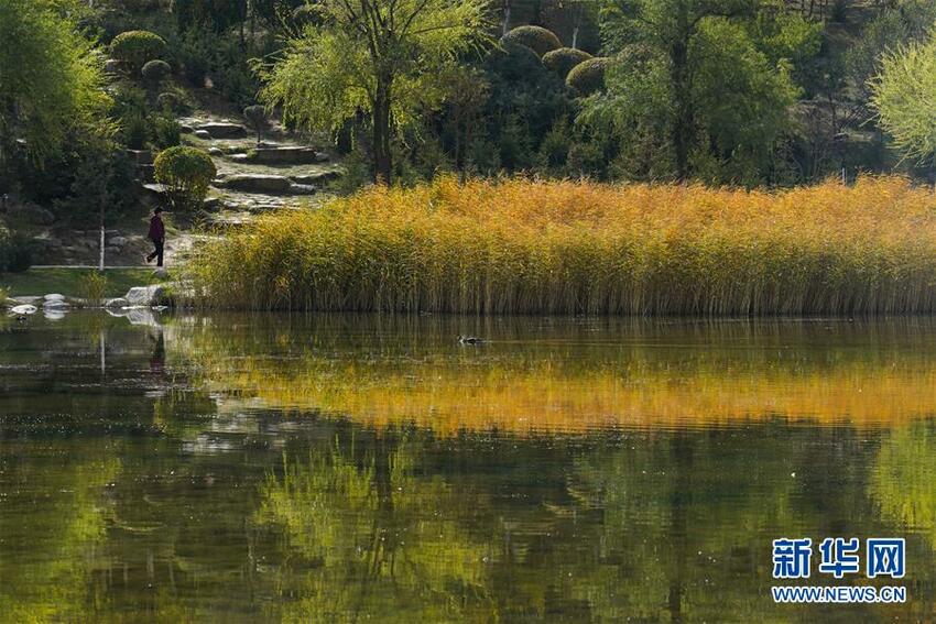 Tiongkok yang Memasuki Musim Gugur_fororder_musim3