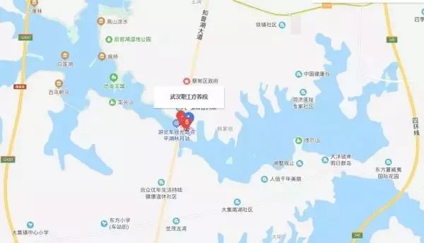 湖北日报：连夜进场！武汉“小汤山”火速开建