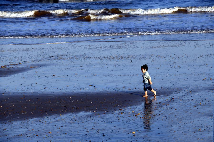 บรรยากาศริมชายหาดยามฤดูใบไม้ร่วง_fororder_20200929海岸3