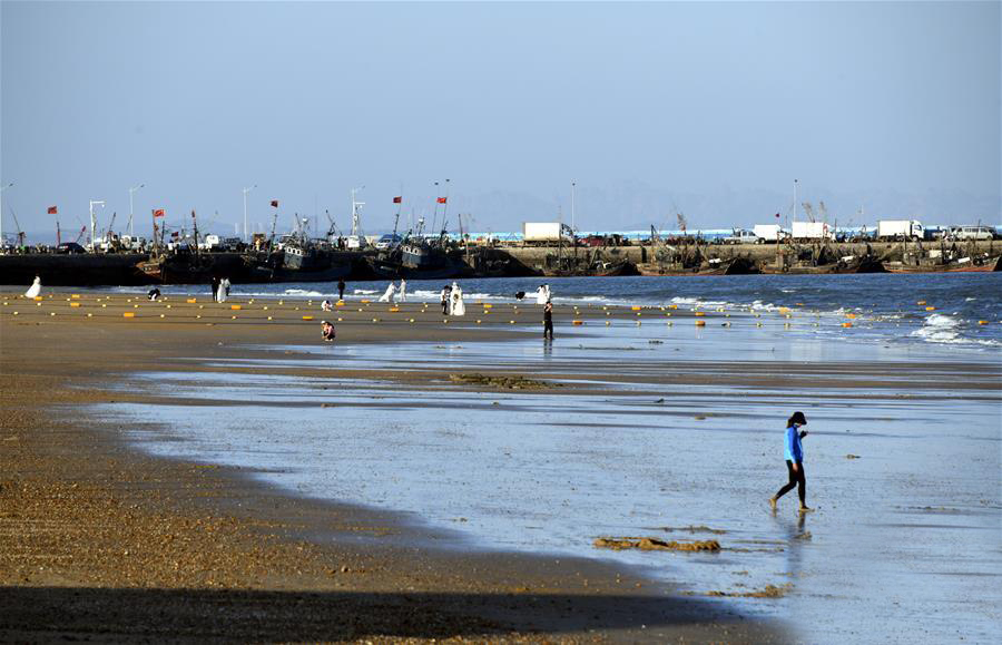 บรรยากาศริมชายหาดยามฤดูใบไม้ร่วง_fororder_20200929海岸2