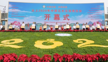 2020 Central Plains Online Horticultural Fair Opens in Yanling County, Xuchang City, He’nan Province_fororder_1