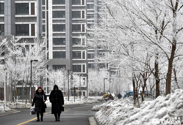 图片默认标题_fororder_2