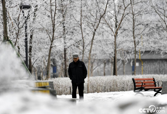 图片默认标题_fororder_3