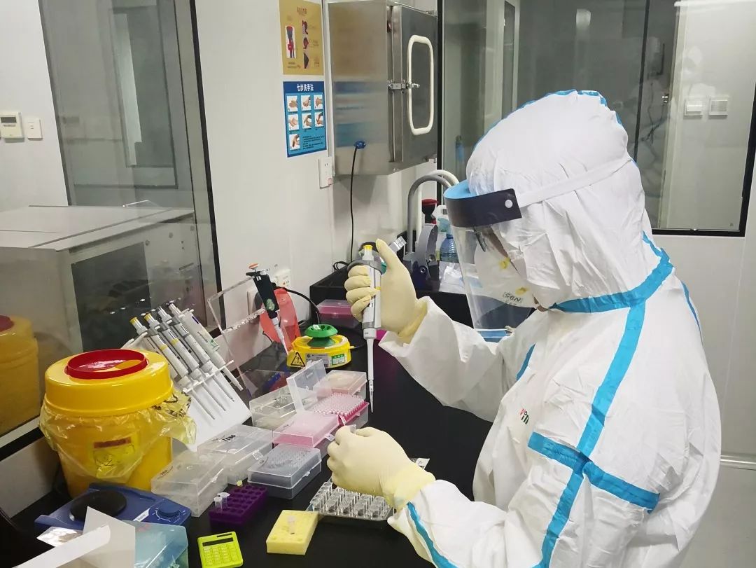 [国际在线]疫情就是命令