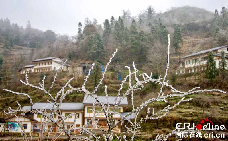 （急稿）贵州务川：山乡冬日美景（组图）