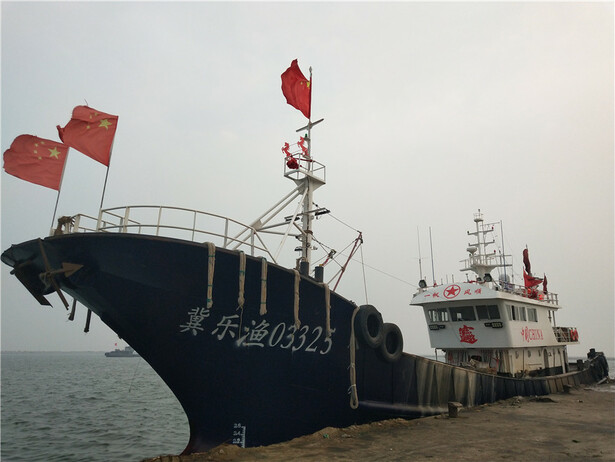 河北乐亭县打造渤海湾海水产品集散基地