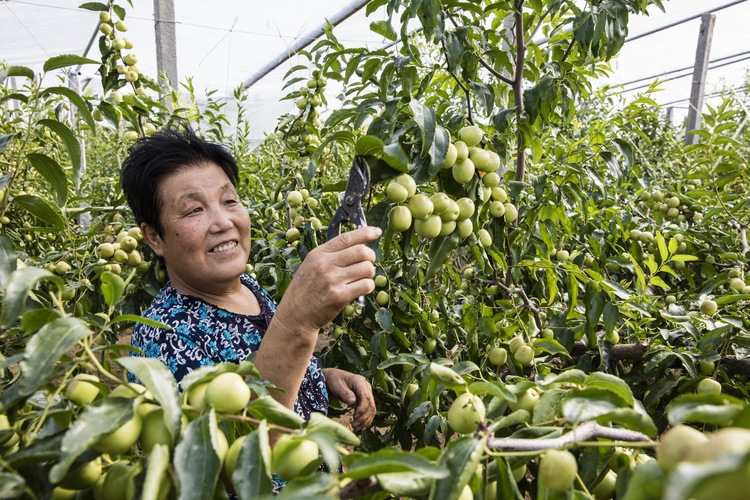 （已确认并修改）渭南市澄城县举办农旅融合助力消费扶贫农特产品展销活动