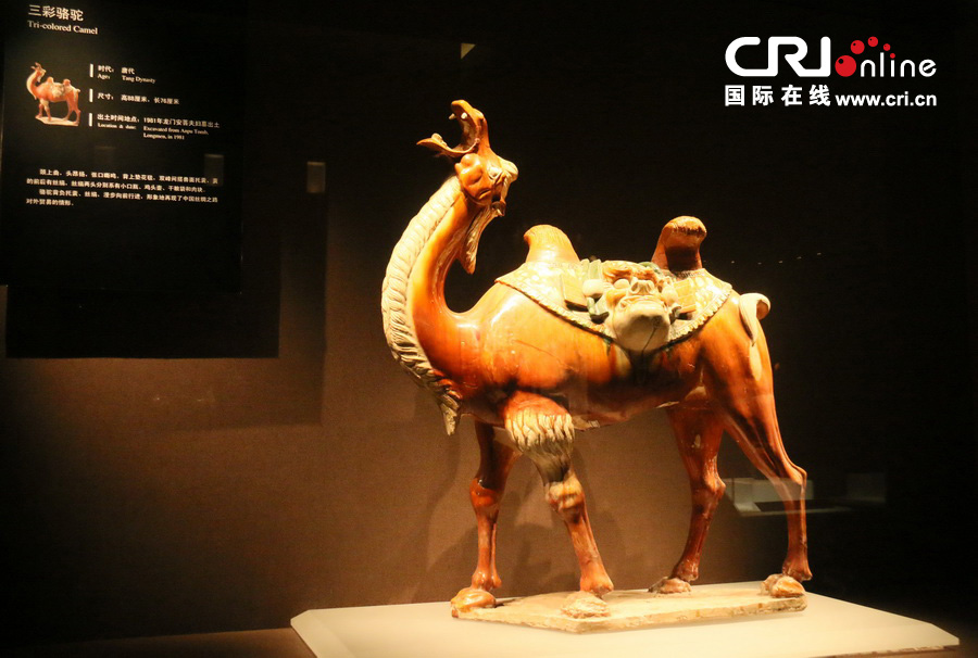 洛陽博物館的另外一件鎮館之寶——三彩駱駝。（攝影 劉澄圓）